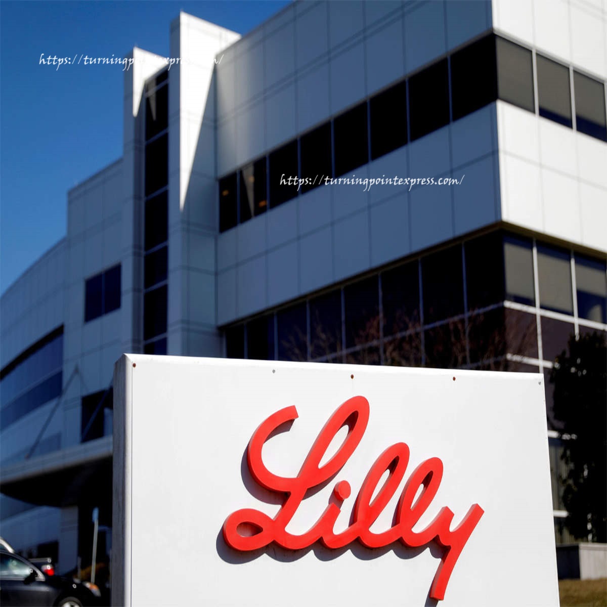 Eli Lilly and Company Careers 2024: Manual Test Engineer | Bangalore | Apply now | Eli Lilly Careers 2024